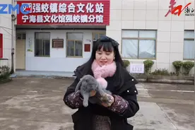 小灰兔受伤向村民求助获救，还吃上了青菜胡萝卜图片
