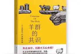 如何透过人文视角，解读金融现象的“底层代码”｜羊群的共识图片