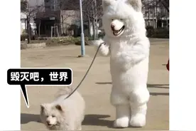 沙雕新闻大盘点：地球终于出现了狗遛狗现象图片