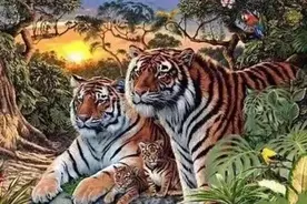 这是一张神奇的图片，里面有16只老虎，能看到8只以上才最厉害图片