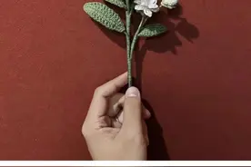 茉莉花钩织图解图片