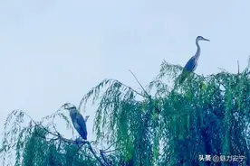 我为安宁点赞，欢迎您来做客！图片