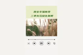 西安幸福林带四季常绿 三季有花图片