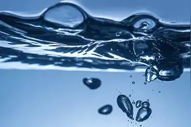 海天股份上半年经营表现稳中向好 立足主业探索多元发展路径图片