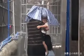 广东一爷爷雨中接娃回家，因只顾孙女一看孙子网友乐了：撑个寂寞图片