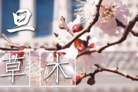 复旦草木 | 你想知道春风的名字吗？图片