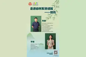 宁姐137空中课堂｜走进自然课程系列——观鸟图片