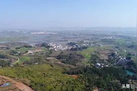 种植烟叶的农田种水稻会重金属超标？哪些水稻品种对镉低积累？图片