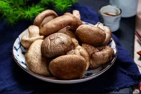香菇图片
