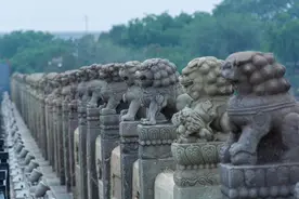 卢沟桥的狮子，什么都知道图片