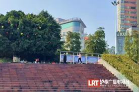 最高罚10万元！泸州不是所有的地方都可以放风筝，也有“禁飞区”图片