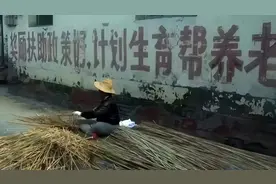 “只生一个好，政府来养老”，国家是不是该行动了？图片