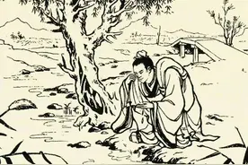 民间故事：男子柳树下睡觉，突然梦到柳树说话，他因此得心仪妻子图片