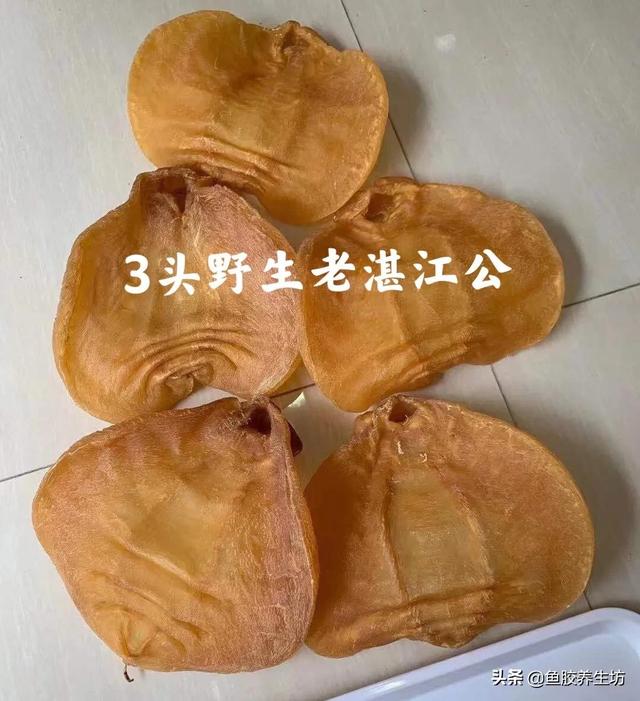 安南鱼胶是属于鳘鱼胶吗 2026年安南鱼胶属于什么档次