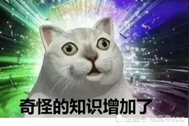 那些不务正业的发明，你知道多少呢？图片