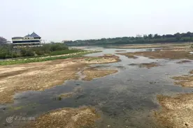 野钓浅水全攻略，没有一票深？照样可以爆护图片
