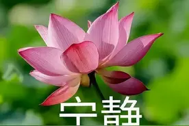 网络流行语泛滥的时代：你真的了解PTSD了吗？图片
