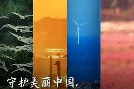 守护美丽中国，重温习近平的这些金句图片