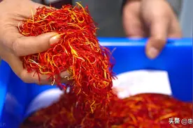 目前藏红花多少钱一克？各地价格一览！图片