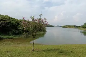 丹氏渊源，丹姓你身边有没有？图片