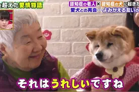 19岁柴犬和主人患上老年痴呆！却只认识彼此：谢谢你，陪了我一生图片