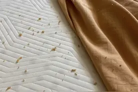 四件套不管买几十还是几百的，都不建议选这7种，并非瞎说是教训图片