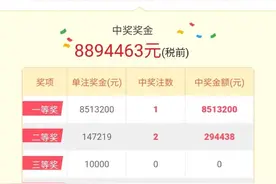 东莞彩民独揽8513万巨奖，惊呆全国！图片
