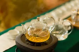持续深耕陈皮康养产业，世纪茗家喜迎品牌战略大升级图片