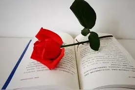 遇见情人，是命中注定的图片