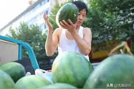 用手拍西瓜是外行！老瓜农：记住“4看”，个个包熟包甜，汁水多图片