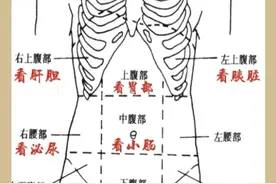 五脏六腑的疼痛区高清图，让你明白身体疼痛都是哪条经络不通？图片
