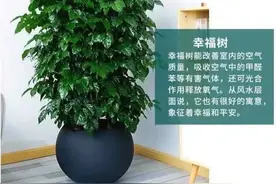 我想睡觉，我正在睡觉，我已经睡着了，我睡醒了图片