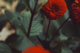 女倒追男，还没确定关系就睡一起，我到底算他女友还是什么？图片