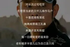 刀郎破纪录，《罗刹海市》80亿播放量，等于8个周杰伦？图片