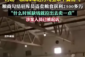 国家粮仓的粮食不翼而飞，燃气费倍增，是严重犯罪，应该从重处罚图片