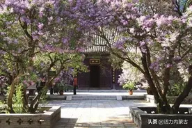 呼和浩特将开通5条公交旅游专线！图片
