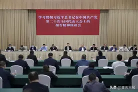 重庆区县“一把手”这周在忙啥？（第82期）图片