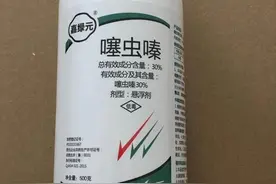 噻虫嗪的作用机理和使用技巧，你学会了吗图片