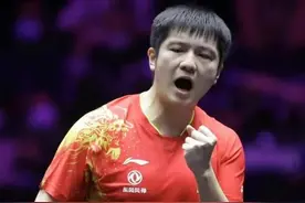 WTT乒乓球赛事简介图片