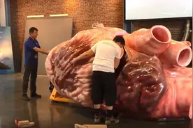 蓝鲸究竟有多大？地球上有史以来，最大的生物是什么？图片