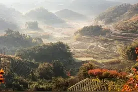 录为我父撰写的碑文图片