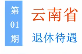 云南省退休人员：除了养老金，还可以享受哪些待遇，标准是多少？图片