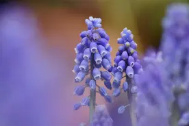 这几个星座，性情开朗，善良文静，身边常有贵人相助图片
