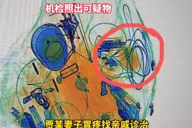 旅客携带罂粟过安检称治胃病图片