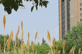 洛阳兴洛湖公园陪我度晚年图片