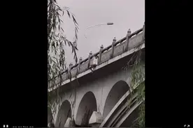 全城寻人！刚刚跳水救人的眼镜哥哥，你在哪？（附视频）图片