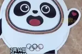 细节满分！潍坊男子花5天用瓷砖打造冰墩墩拼图图片