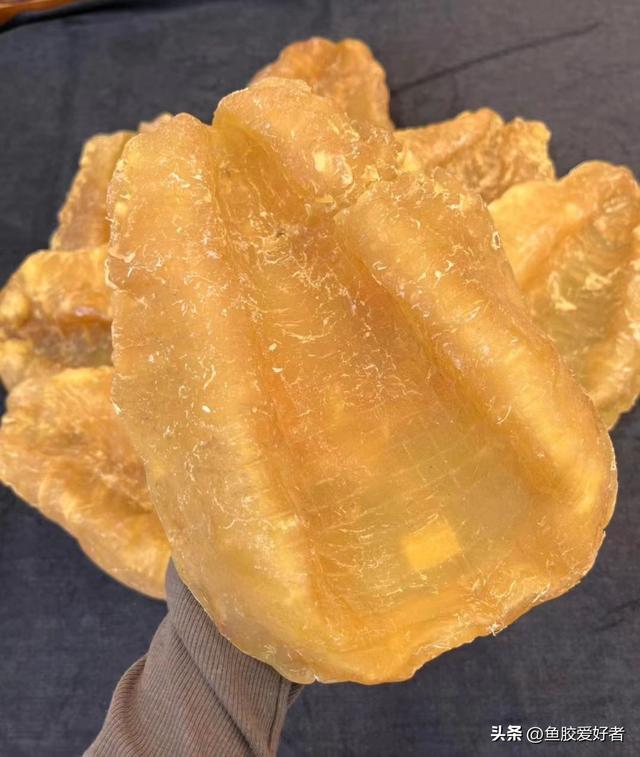 吃花胶是交智商税吗 2026年吃花胶是智商还是税