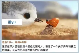 18部央视高质量儿童纪录片图片