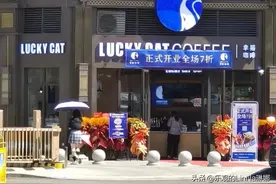 抄袭瑞幸？这个品牌路走窄了图片